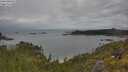 ./images/calvert/foggy-cove/20250618/foggy-cove20250618_105008M.jpg