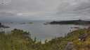 ./images/calvert/foggy-cove/20250618/foggy-cove20250618_105510M.jpg