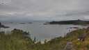 ./images/calvert/foggy-cove/20250618/foggy-cove20250618_110509M.jpg