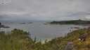 ./images/calvert/foggy-cove/20250618/foggy-cove20250618_111010M.jpg