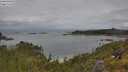 ./images/calvert/foggy-cove/20250618/foggy-cove20250618_111510M.jpg