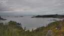 ./images/calvert/foggy-cove/20250618/foggy-cove20250618_113508M.jpg