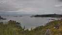 ./images/calvert/foggy-cove/20250618/foggy-cove20250618_114010M.jpg