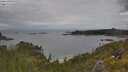 ./images/calvert/foggy-cove/20250618/foggy-cove20250618_114509M.jpg