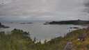 ./images/calvert/foggy-cove/20250618/foggy-cove20250618_115510M.jpg
