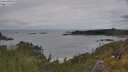 ./images/calvert/foggy-cove/20250618/foggy-cove20250618_121510M.jpg