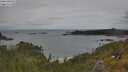 ./images/calvert/foggy-cove/20250618/foggy-cove20250618_123510M.jpg