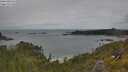 ./images/calvert/foggy-cove/20250618/foggy-cove20250618_124011M.jpg