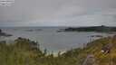 ./images/calvert/foggy-cove/20250618/foggy-cove20250618_125507M.jpg