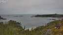 ./images/calvert/foggy-cove/20250618/foggy-cove20250618_130508M.jpg