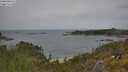 ./images/calvert/foggy-cove/20250618/foggy-cove20250618_131010M.jpg