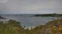 ./images/calvert/foggy-cove/20250618/foggy-cove20250618_132008M.jpg