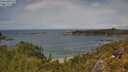 ./images/calvert/foggy-cove/20250618/foggy-cove20250618_135005M.jpg