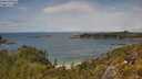 ./images/calvert/foggy-cove/20250618/foggy-cove20250618_135509M.jpg