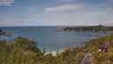 ./images/calvert/foggy-cove/20250618/foggy-cove20250618_140011M.jpg