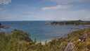 ./images/calvert/foggy-cove/20250618/foggy-cove20250618_140510M.jpg