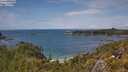 ./images/calvert/foggy-cove/20250618/foggy-cove20250618_141011M.jpg