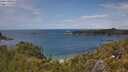./images/calvert/foggy-cove/20250618/foggy-cove20250618_142510M.jpg