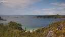 ./images/calvert/foggy-cove/20250618/foggy-cove20250618_143010M.jpg