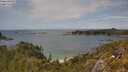 ./images/calvert/foggy-cove/20250618/foggy-cove20250618_144009M.jpg