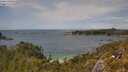 ./images/calvert/foggy-cove/20250618/foggy-cove20250618_144510M.jpg