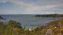 ./images/calvert/foggy-cove/20250618/foggy-cove20250618_145010M.jpg