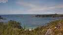./images/calvert/foggy-cove/20250618/foggy-cove20250618_145508M.jpg