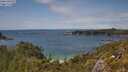 ./images/calvert/foggy-cove/20250618/foggy-cove20250618_150011M.jpg
