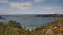 ./images/calvert/foggy-cove/20250618/foggy-cove20250618_152011M.jpg
