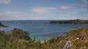 ./images/calvert/foggy-cove/20250618/foggy-cove20250618_153011M.jpg