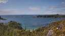 ./images/calvert/foggy-cove/20250618/foggy-cove20250618_153508M.jpg