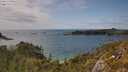 ./images/calvert/foggy-cove/20250618/foggy-cove20250618_155508M.jpg