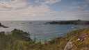 ./images/calvert/foggy-cove/20250618/foggy-cove20250618_171011M.jpg