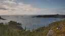 ./images/calvert/foggy-cove/20250618/foggy-cove20250618_172510M.jpg
