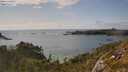 ./images/calvert/foggy-cove/20250618/foggy-cove20250618_173505M.jpg