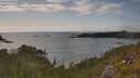 ./images/calvert/foggy-cove/20250618/foggy-cove20250618_174510M.jpg