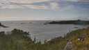 ./images/calvert/foggy-cove/20250618/foggy-cove20250618_175010M.jpg