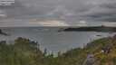 ./images/calvert/foggy-cove/20250618/foggy-cove20250618_202508M.jpg