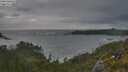 ./images/calvert/foggy-cove/20250618/foggy-cove20250618_204508M.jpg