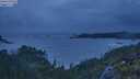 ./images/calvert/foggy-cove/20250618/foggy-cove20250618_221508M.jpg