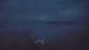 ./images/calvert/foggy-cove/20250619/foggy-cove20250619_042508M.jpg