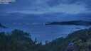 ./images/calvert/foggy-cove/20250619/foggy-cove20250619_045008M.jpg