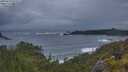 ./images/calvert/foggy-cove/20250619/foggy-cove20250619_052006M.jpg