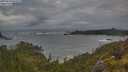 ./images/calvert/foggy-cove/20250619/foggy-cove20250619_053508M.jpg