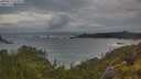 ./images/calvert/foggy-cove/20250619/foggy-cove20250619_054008M.jpg