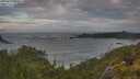 ./images/calvert/foggy-cove/20250619/foggy-cove20250619_060011M.jpg
