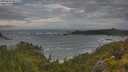 ./images/calvert/foggy-cove/20250619/foggy-cove20250619_061510M.jpg