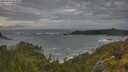 ./images/calvert/foggy-cove/20250619/foggy-cove20250619_062008M.jpg