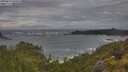 ./images/calvert/foggy-cove/20250619/foggy-cove20250619_063010M.jpg