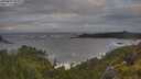 ./images/calvert/foggy-cove/20250619/foggy-cove20250619_064010M.jpg